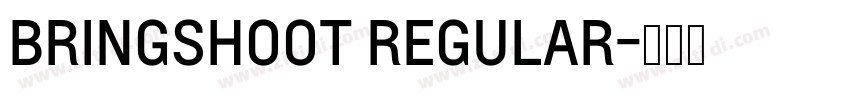 BRINGSHOOT REGULAR字体转换